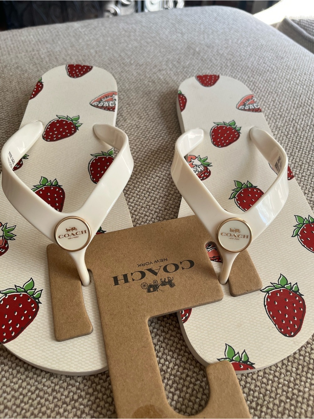 Coach NWT Zayn Strawberry Chalk flip flops size 9 - Picture 2 of 9